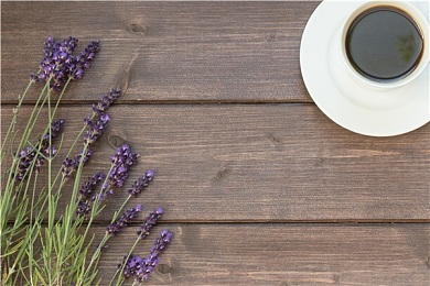 热门IB课程你们是怎么选课的？