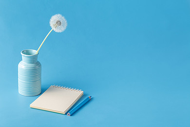 科普篇：IB课程与AP课程的区别