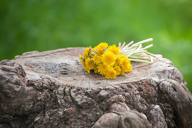 IB选课指南之化学篇