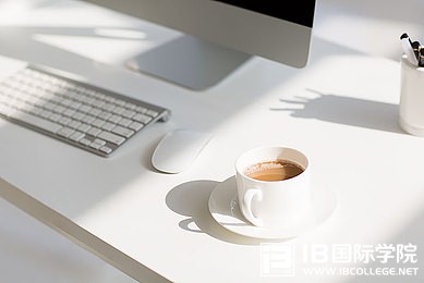 考试指南：IB课程结业标准