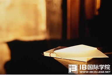 IB课程：你的拓展论文Extended Essay还好吗？