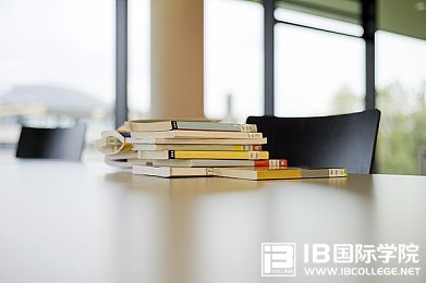 IB课程：你的拓展论文Extended Essay还好吗？