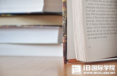 IBDP数学的4个难度等级及适合的群体