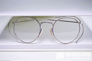 IBPYP课程核心：概念式主导的学习