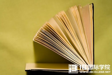 IB课程中EE项目，有你想不到的意义