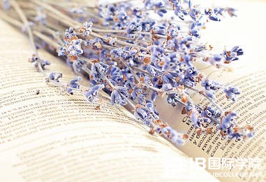 英国数学专业最好的10所大学,IB要多少分才能无压力？