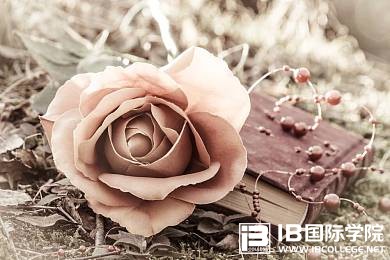 三大主流国际高中课程，到底哪个更牛？