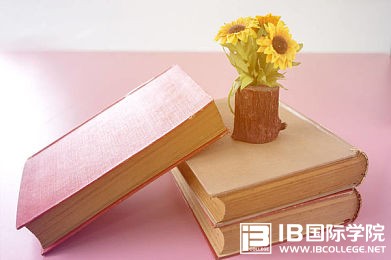 答疑：IBDP学科评价的构成部分及比例