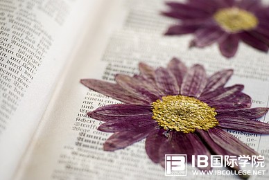 答疑：IBDP学科评价的构成部分及比例