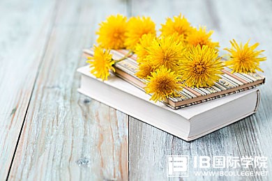 你知道IBDP经典选课思路吗？