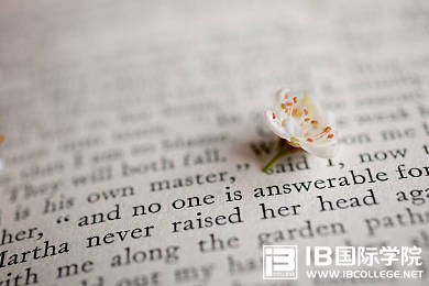 你知道IBDP经典选课思路吗？