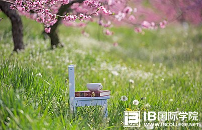 IB课程考什么？有何优缺点