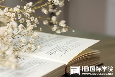 IB课程考什么？有何优缺点