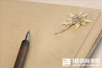 必看：解密IBDP三大核心课程