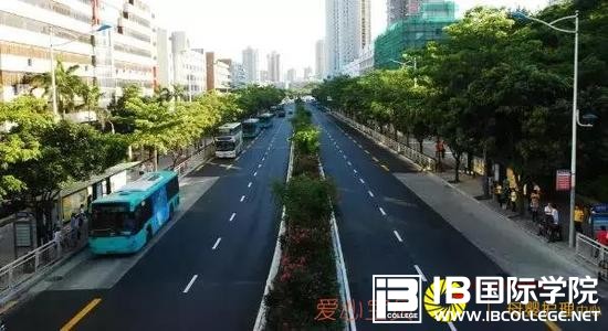 这样的方法复习IB化学,你离高分还远？