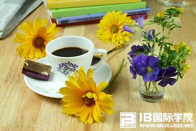 科普文：你不了解的IB课程发展