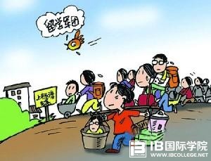 备受青睐的国际IB课程,数学内容到底有哪些？