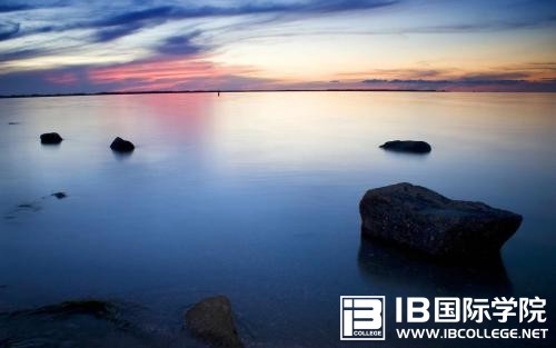 IB数学考试：内容包括哪些