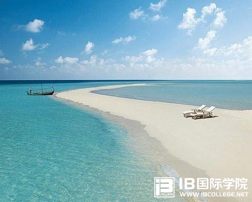 上英国顶尖大学经济专业,IB要考多少分？