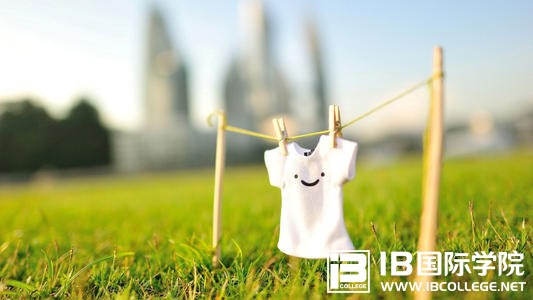 IB课程,培养国际化思维模式