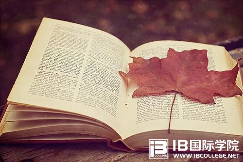 新西兰IB课程详细介绍 新西兰IB课程详细介绍