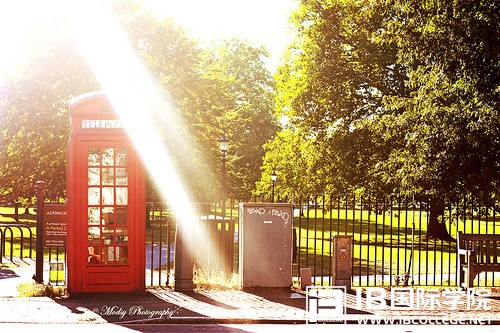 华威大学学霸的IB经:选择IB课程的原因,高回报率一个足矣！