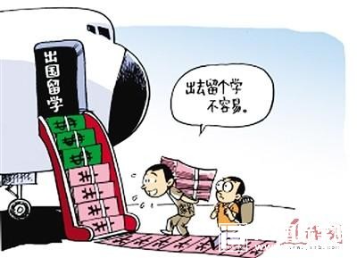 申请美国大学,如何选择IB课程？