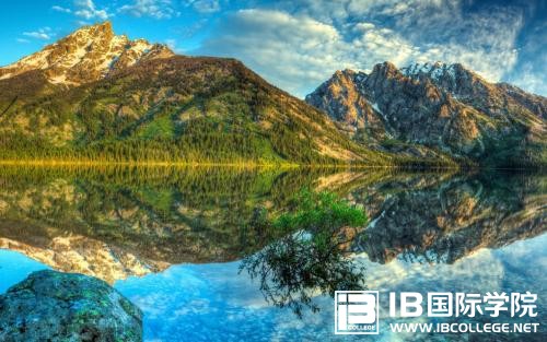 IB生物考试内容划分原则