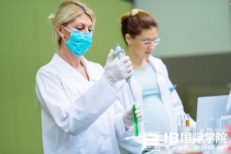 IB考试内容详解