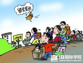 IB数学考试内容及评估注意事项