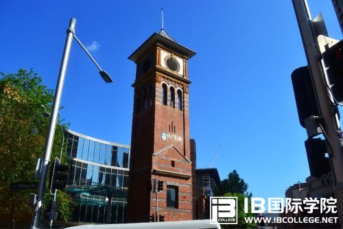 申请美国大学,如何选择IB课程