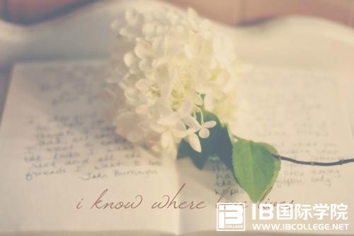 上海哪些高中有IB课程(2)