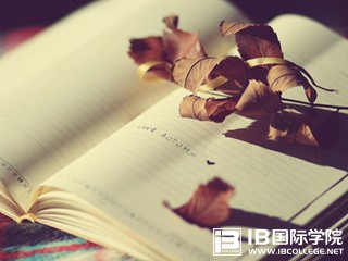 IB艺术EE作文怎么写才好