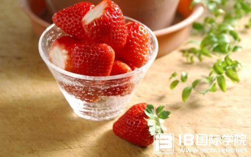 如何才能获得IB文凭