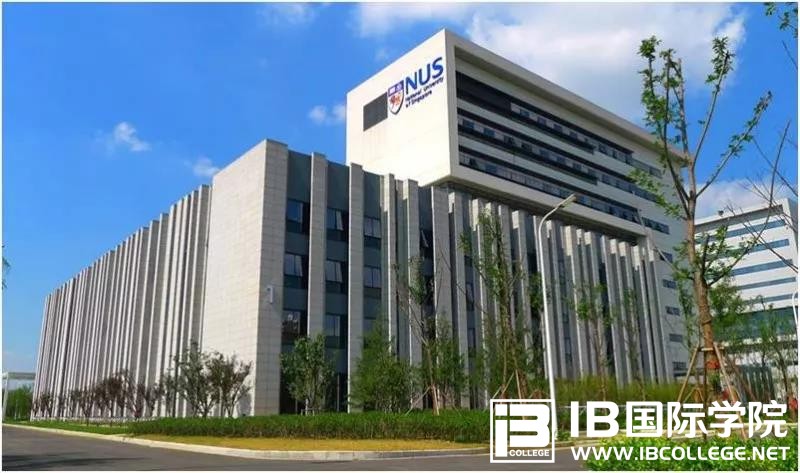 IB中文课程学习方法