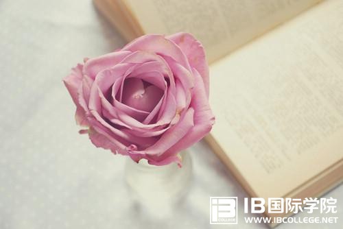 IB课程和AP课程的差异有哪些？