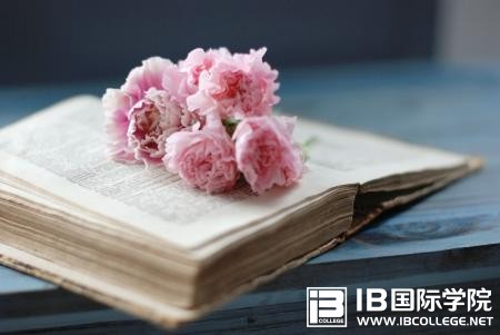 IB物理学习指南介绍