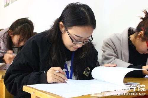 申请美国大学,如何选择IB课程