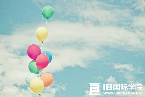 IB国际商务课程的介绍