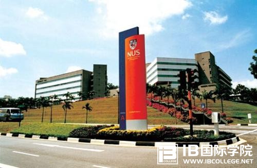 IB数学课程学习效率为什么难以提升？