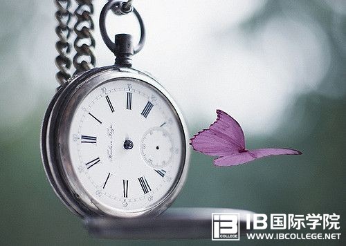 IB经济课程选课指南