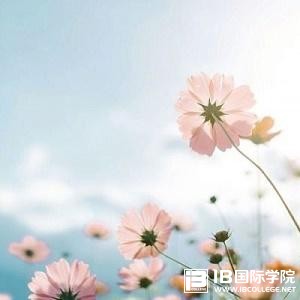 IB课程,到底是怎样培养学生思维能力的