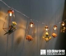 IB课程能不能超越Alevel课程（上）