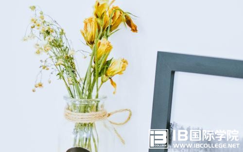 IB化学考试：实验也是非常重要的