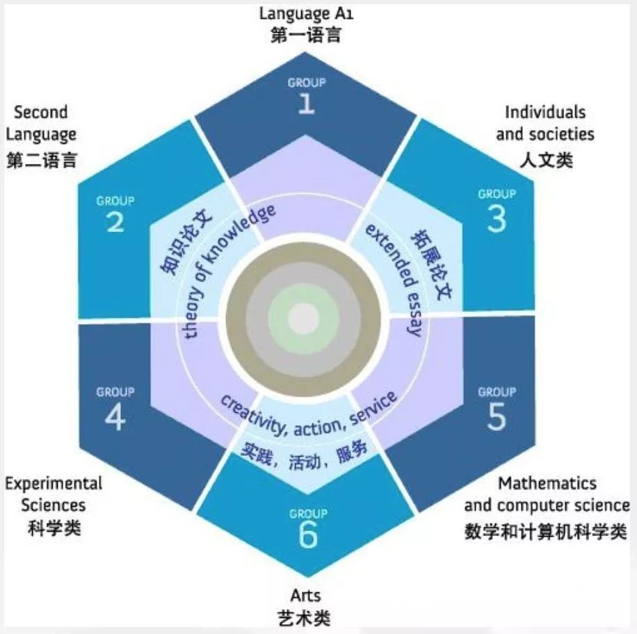 IB课程被称为留学“万金油”,它的回报率有多高？