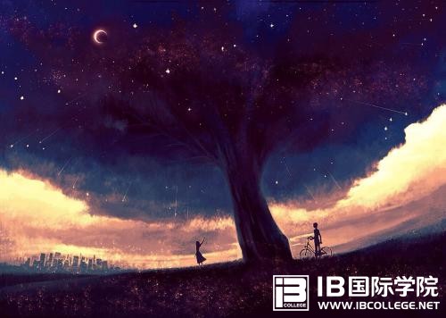 IB不太适合法语基础差的学生？