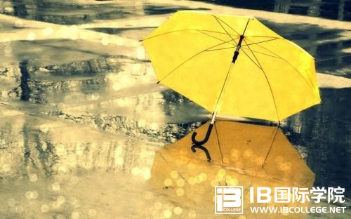 干货：IB课程信息攻略（家长必看）