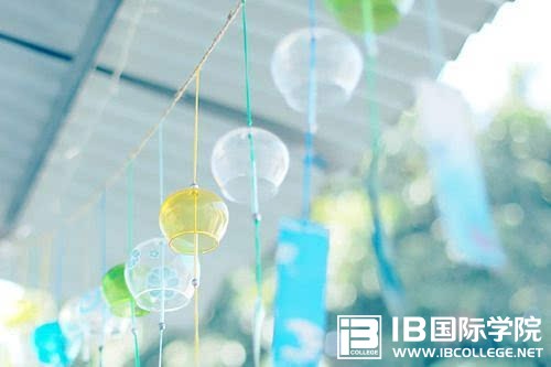 IB课程：评分标准和申请范围