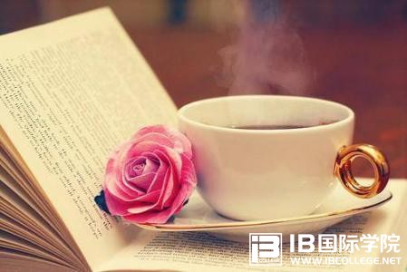 IB化学考试必须要提升的四大能力