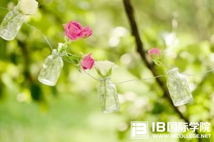 IB地理：学会多角度分析考试案例